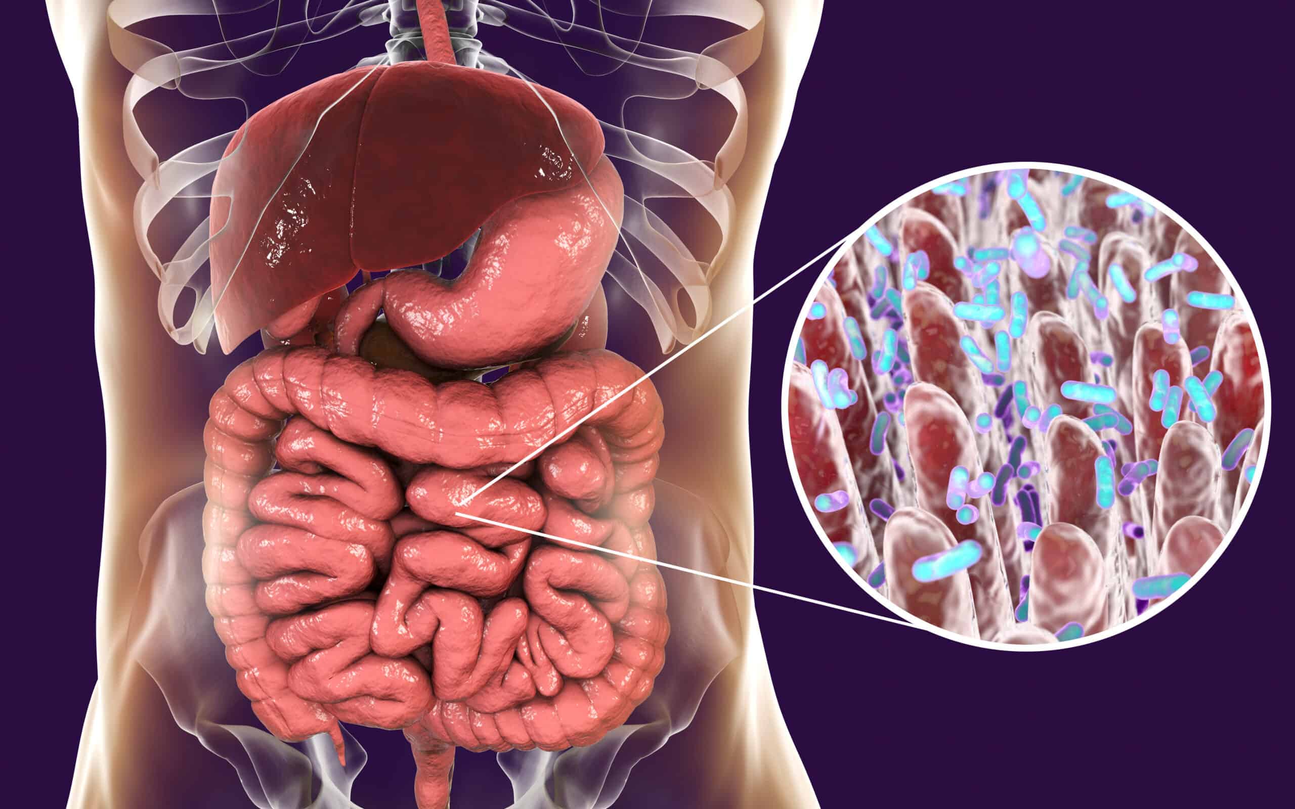 Covid-19 and your Microbiome: It’s all about the GUT…