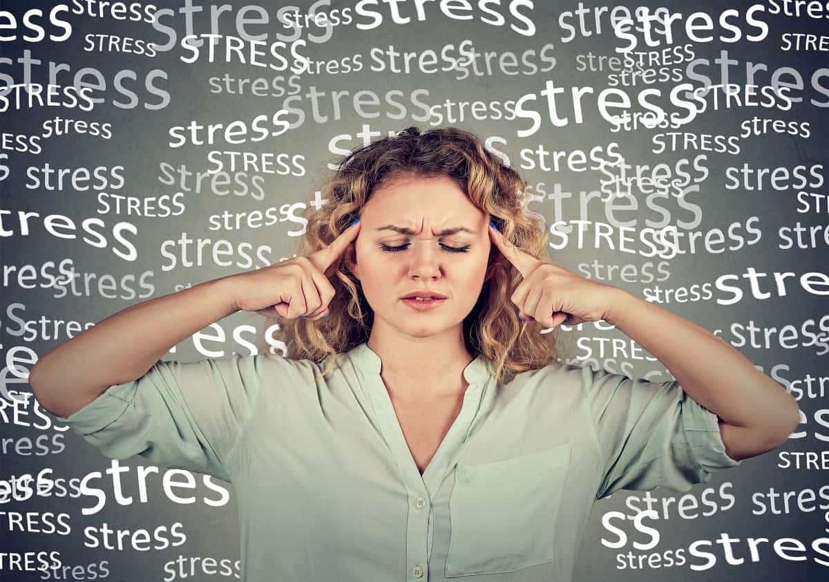 Foods to Help You Manage Your Stress