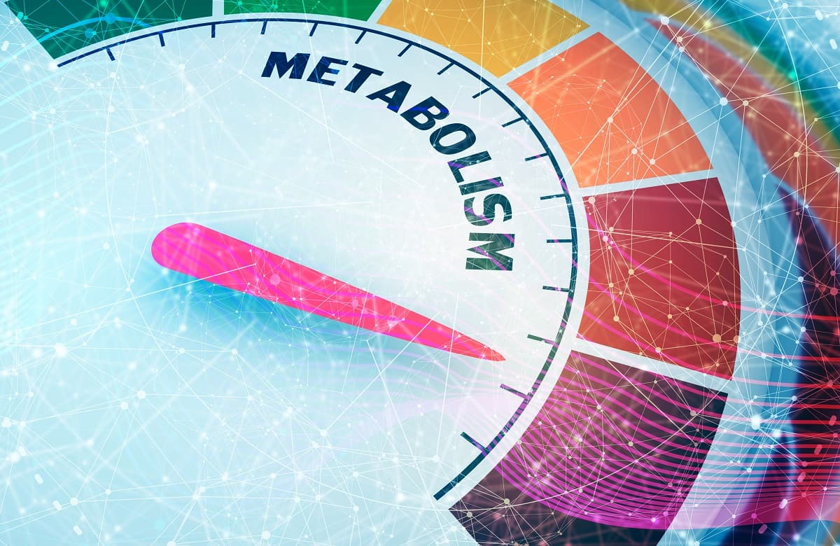 Why Has My Metabolism Decreased With Age?
